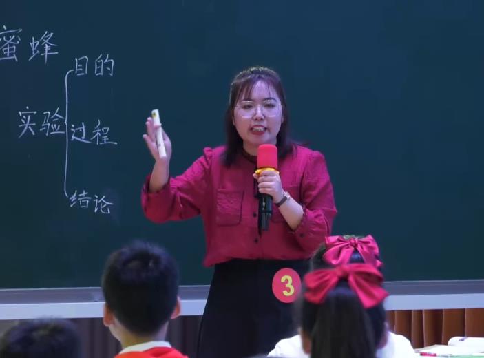 宿彩霞，《蜜蜂》，三年級(jí)下冊(cè)，第四單位
