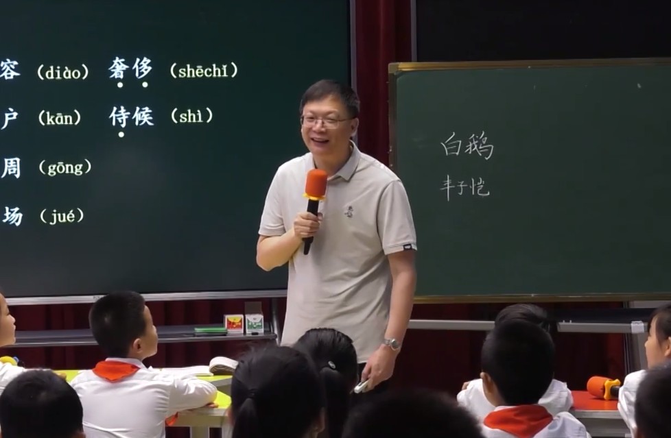 薛法根，《白鵝》，四年級(jí)下冊(cè)，第四單元